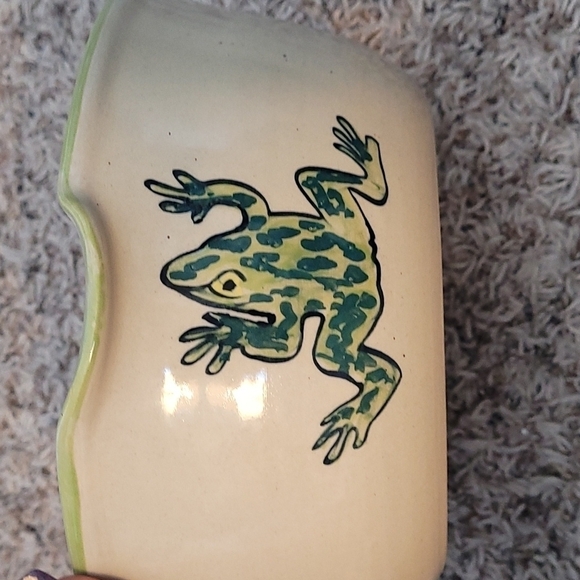 Annie's Garden Frog Hand Painted Turned Ceramic Vertical Roaster bowl  dish - Picture 6 of 7